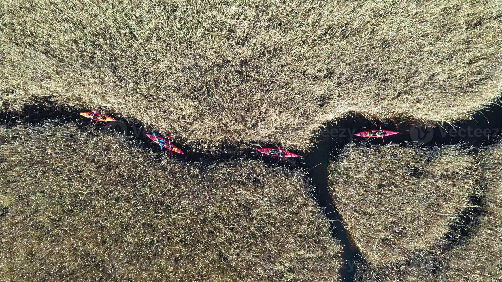 gruppo di persone nel kayak tra canne su il autunno fiume. foto