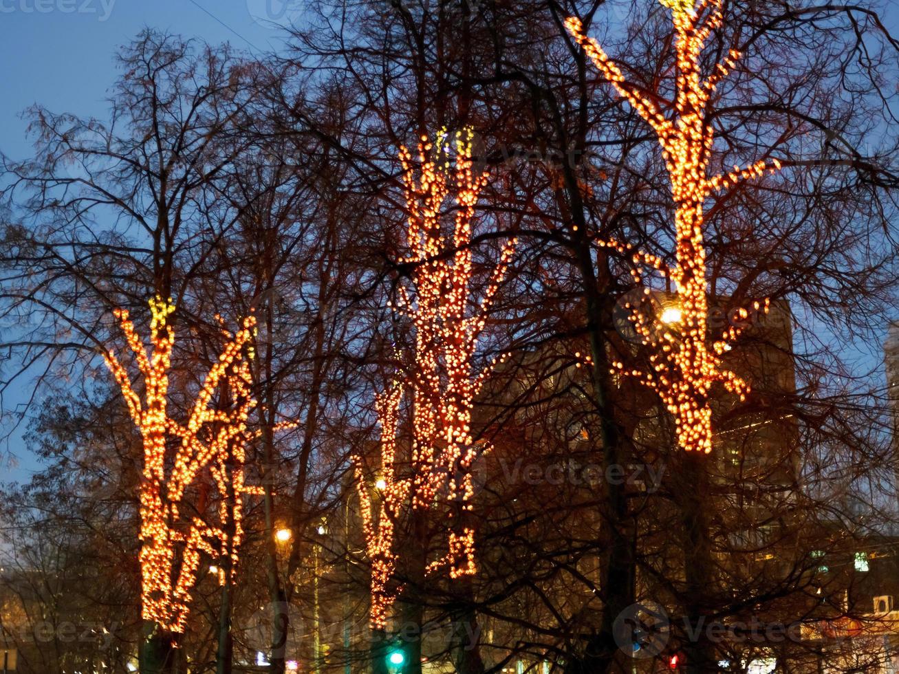 natale illuminazione su alberi nel inverno foto