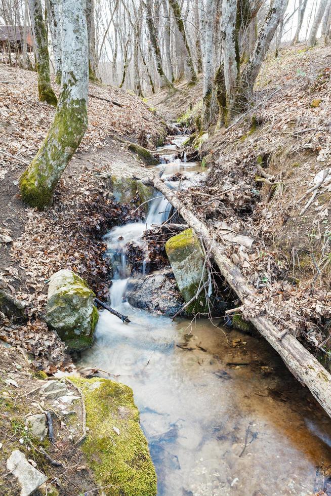 panoramico con ruscello nel montagna boschi nel primavera foto