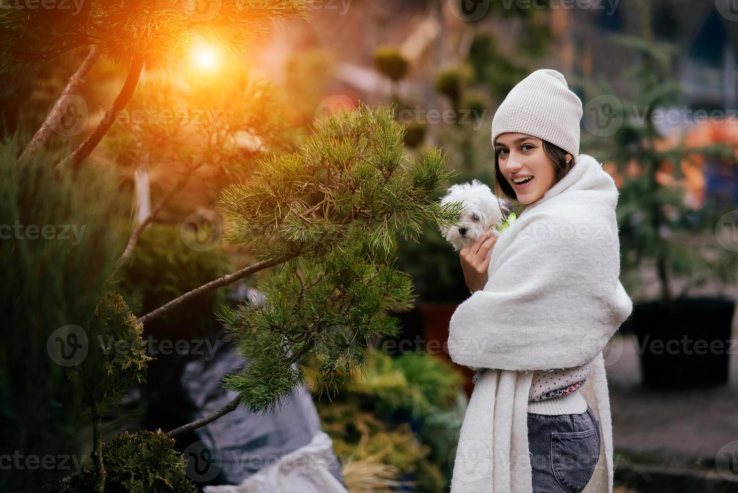 donna con un' bianca cane nel sua braccia vicino un' verde Natale alberi foto