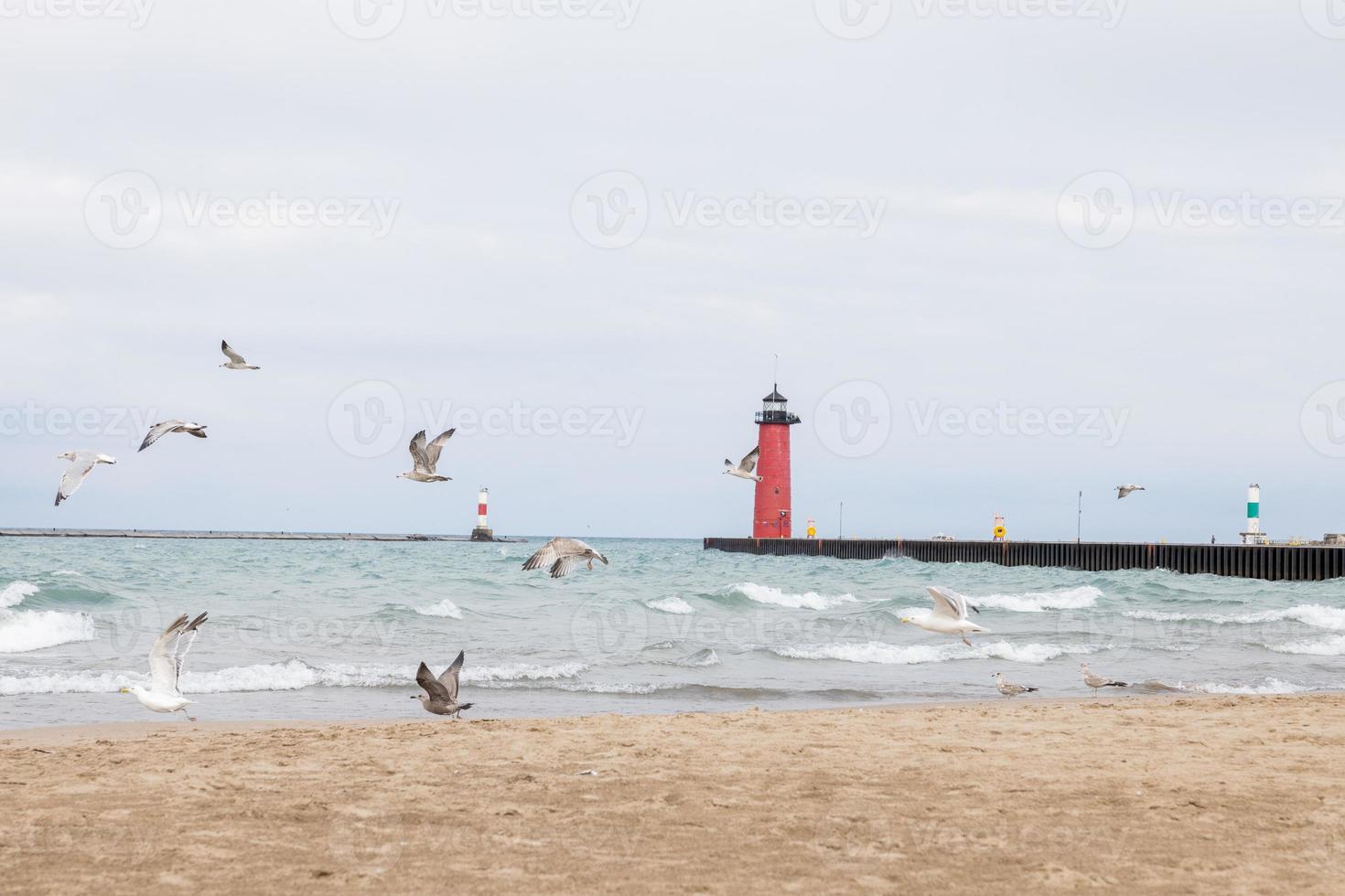 gabbiani assunzione via a partire dal il sabbioso spiaggia su il riva di lago Michigan. faro molo nel il distanza. grigio nuvoloso cielo. impronte nel il sabbia. onde rotolamento in. boe marcatura il porto. foto