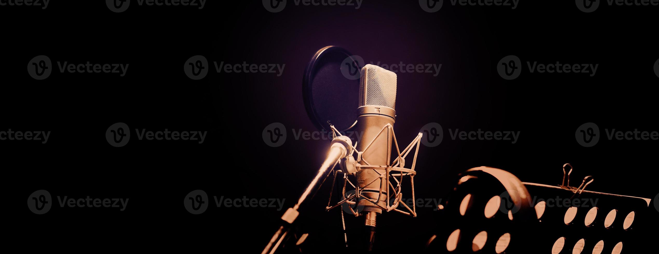 professionale microfono e anti vibrazione su mic In piedi. foto