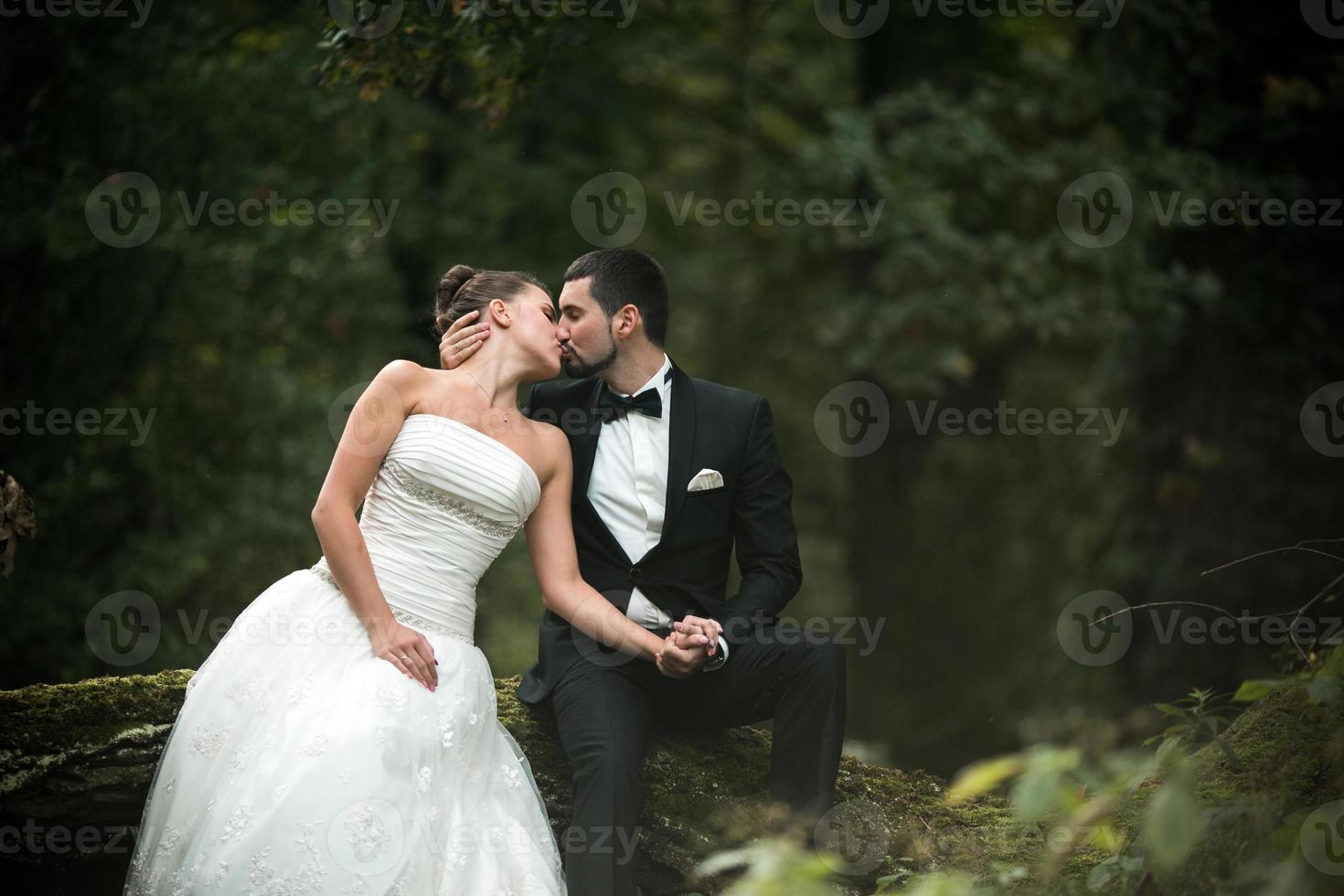 bellissimo nozze coppia seduta nel il boschi foto
