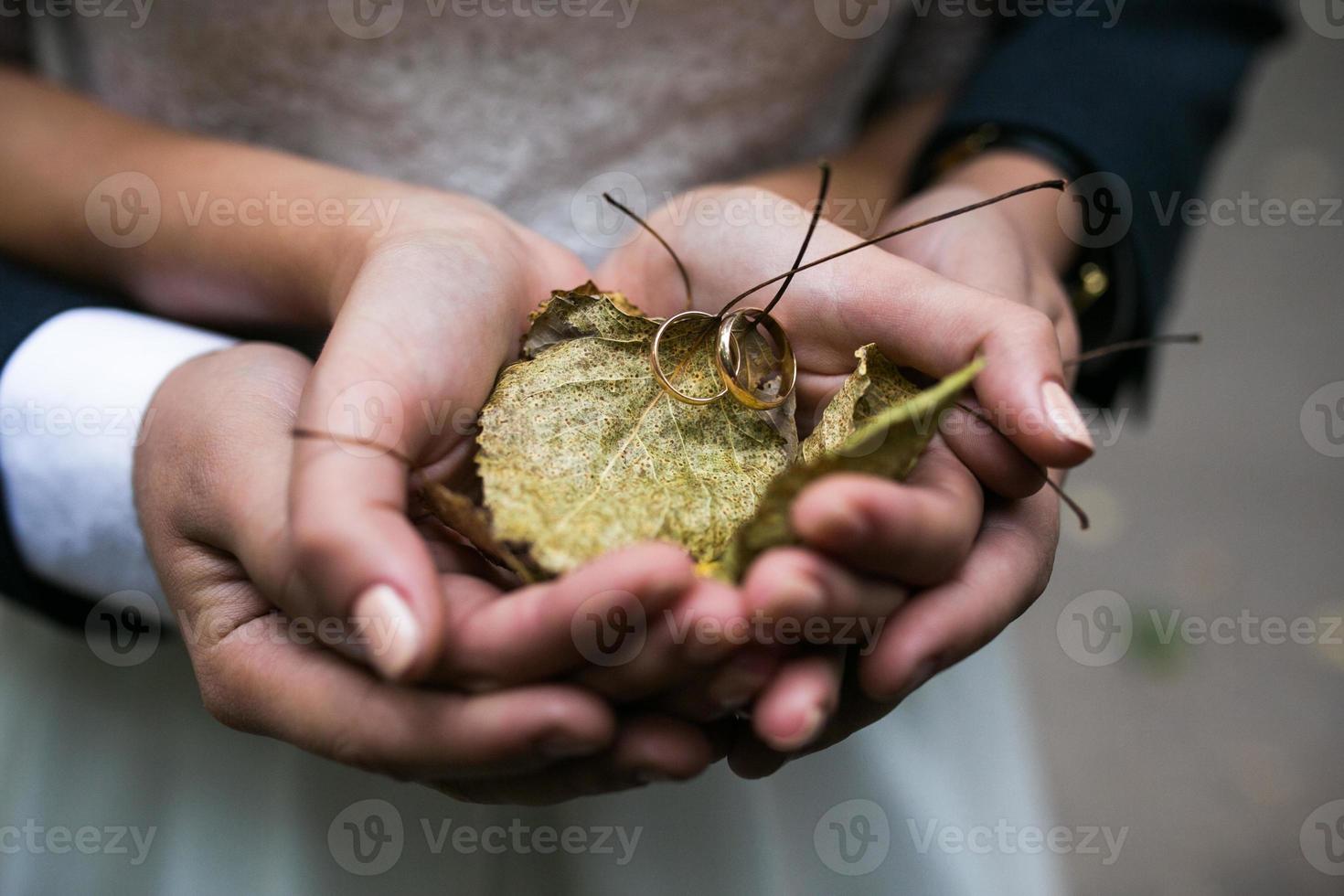 sposa e sposo Tenere nozze anelli e autunno le foglie nel mani foto