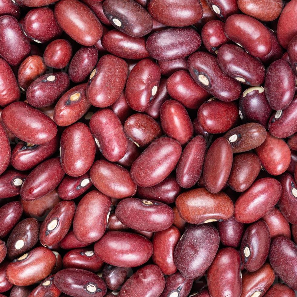 crudo messicano rosso fagioli vicino su foto