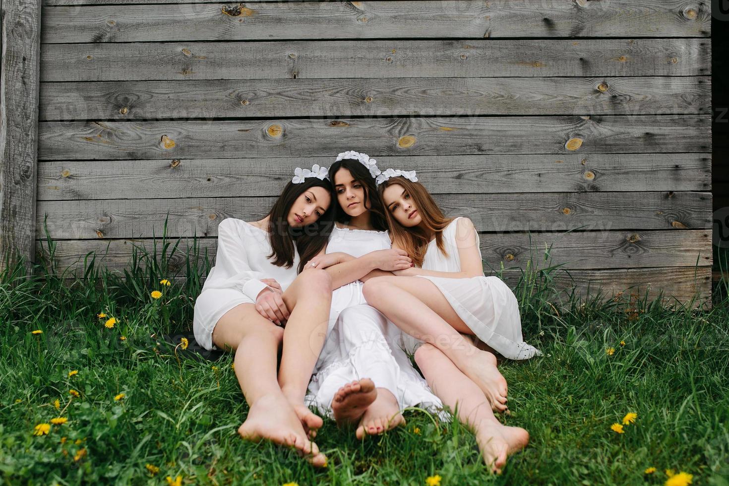 tre affascinante ragazze vicino un' di legno Casa foto