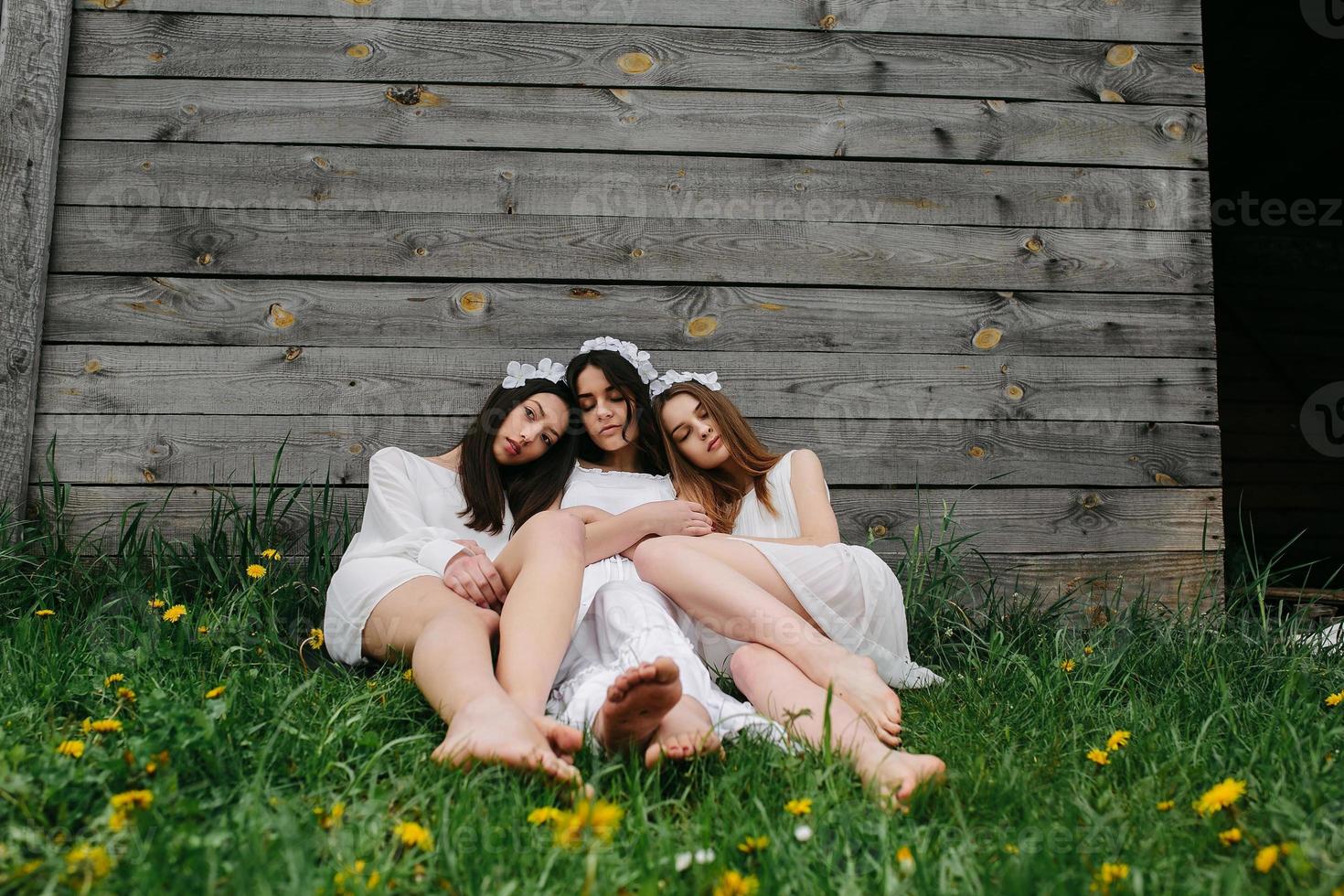 tre affascinante ragazze vicino un' di legno Casa foto