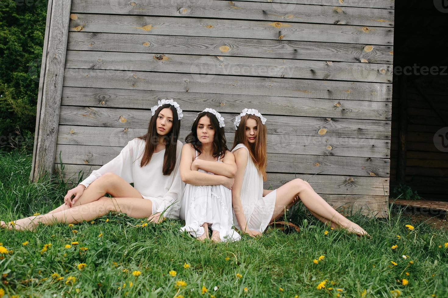 tre affascinante ragazze vicino un' di legno Casa foto