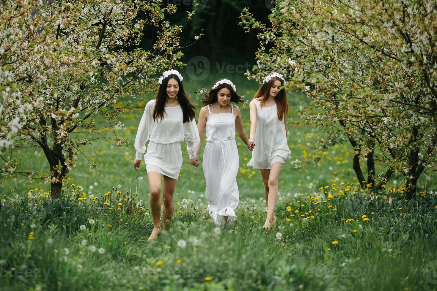 tre affascinante ragazze nel un' giardino foto