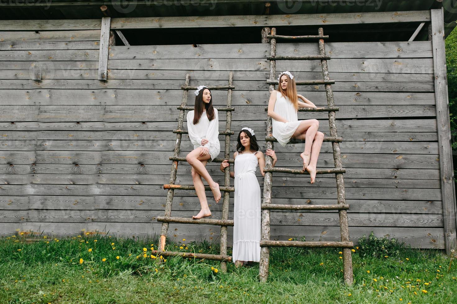 tre affascinante ragazze vicino un' di legno Casa foto