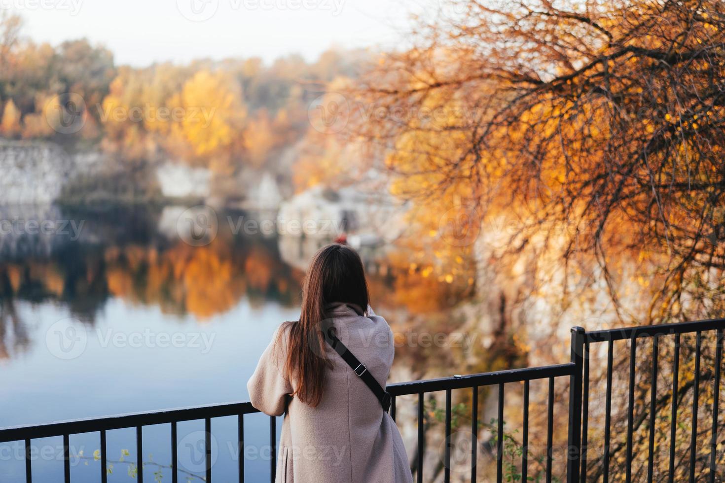 autunno ragazza in piedi indietro e Guardando natura. foto