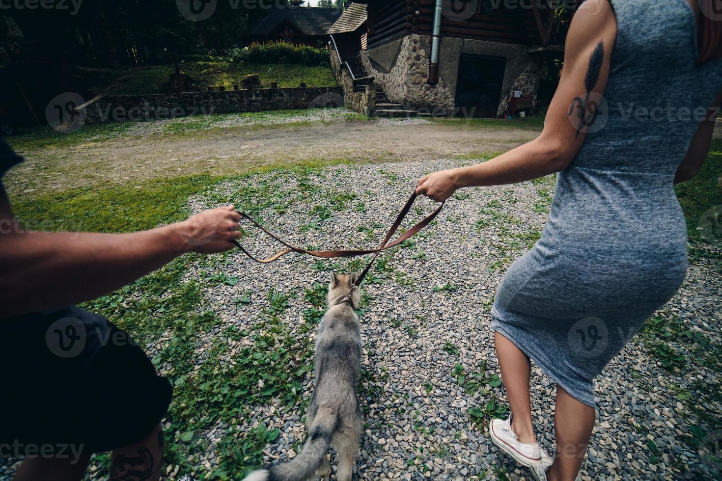 coppia corre su strada nel il natura con cane foto