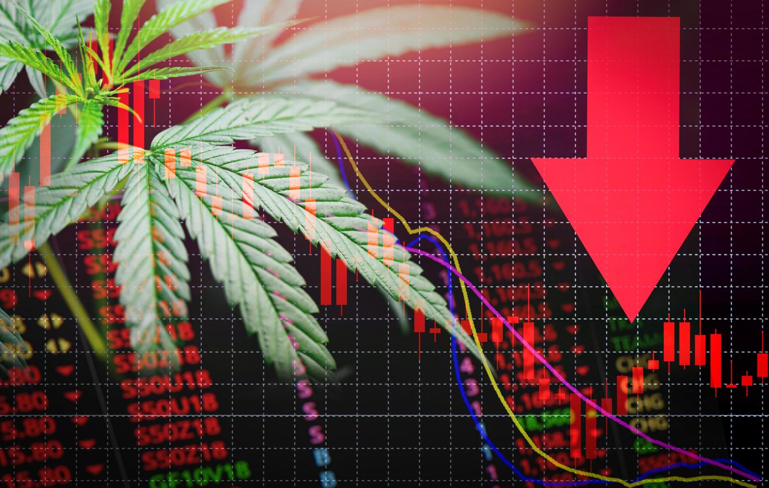 attività commerciale marijuana le foglie canapa azione crisi rosso mercato prezzo freccia giù foto