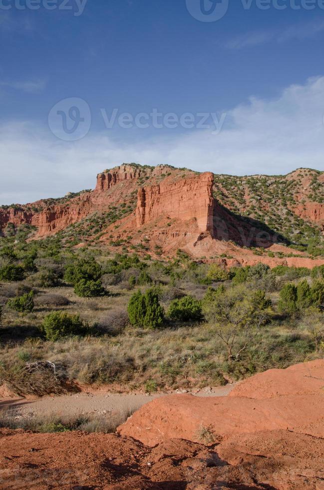 un' arenaria Torre di rosso roccia a caprock canyon stato parco. foto