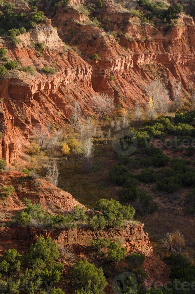 un' Visualizza in un' burrone a caprock canyon stato parco come il sole imposta. foto