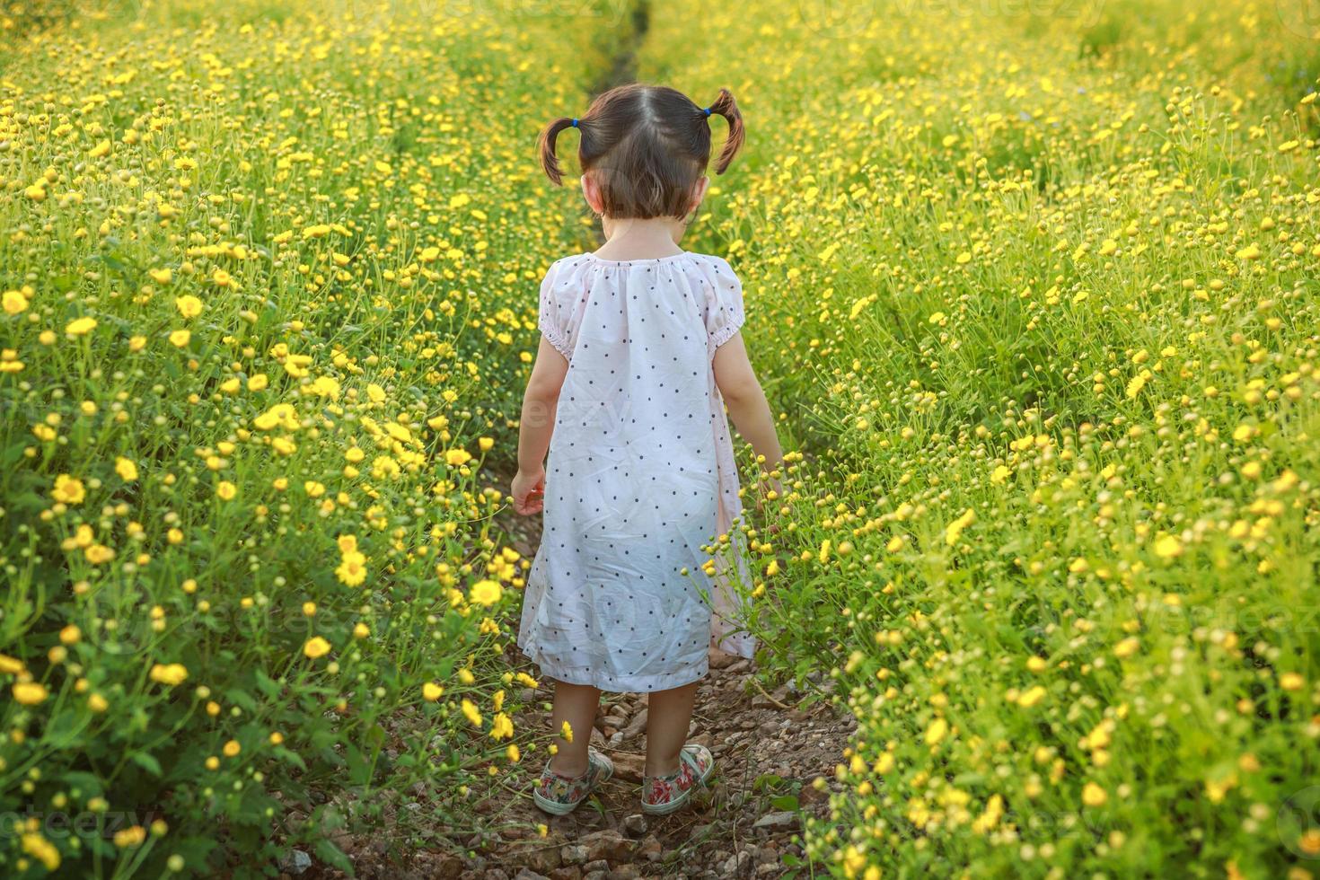 carino poco ridendo ragazza o asiatico poco ragazza a piedi nel il campo di giallo fiori nel un' soleggiato estate sera, a il tramonto con copia foto