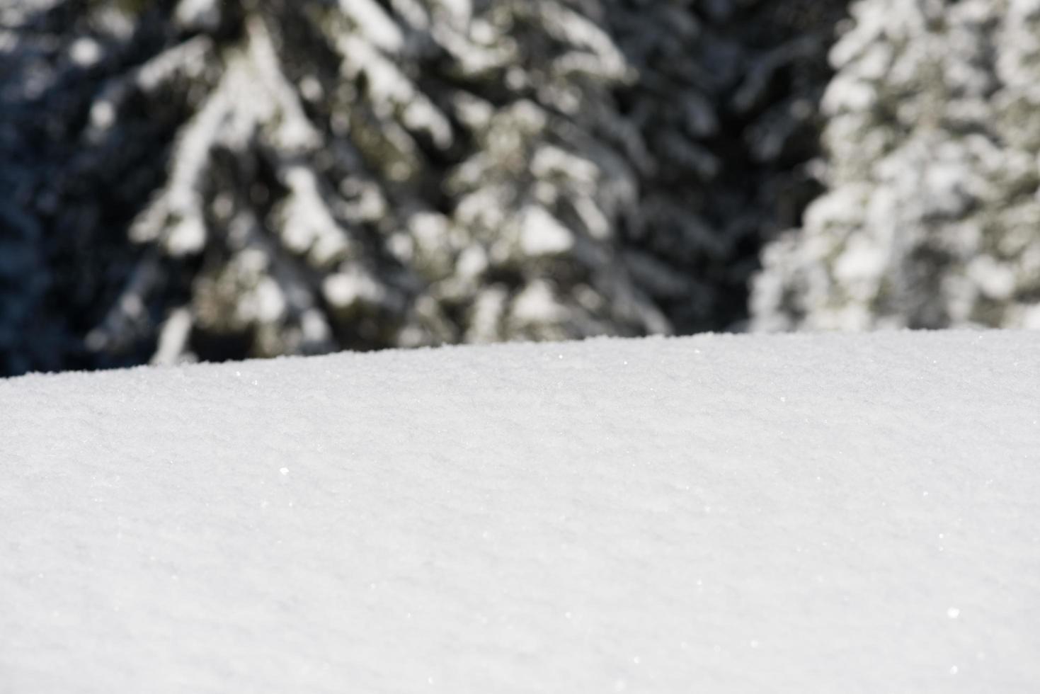 inverno paesaggio Visualizza foto