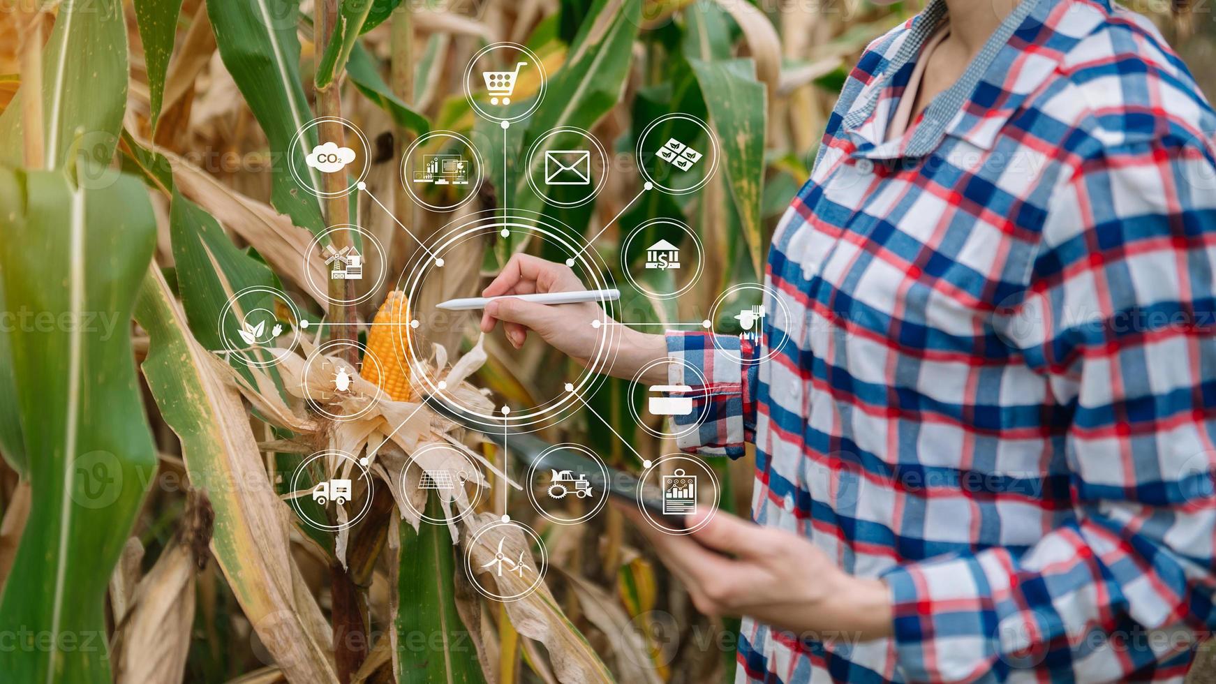 tecnologia agricola contadina donna che tiene tablet o tablet tecnologia per la ricerca sui dati di analisi dei problemi agricoli e icona visiva.agricoltura intelligente foto