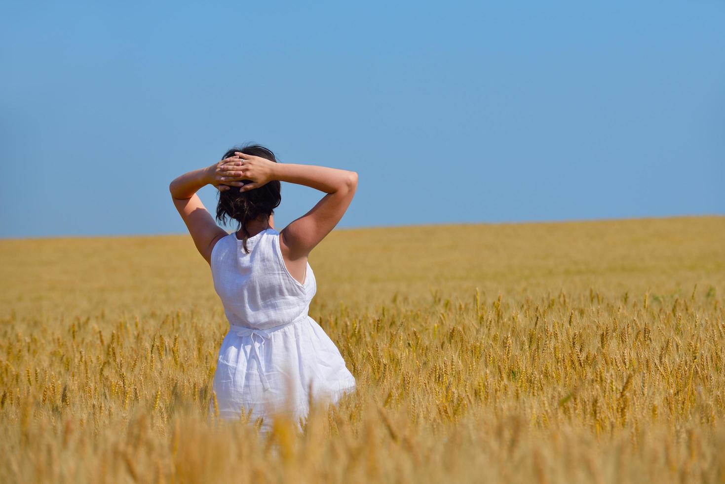 giovane donna nel campo di grano in estate foto