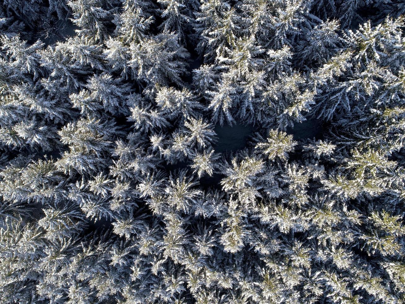 inverno paesaggio Visualizza foto