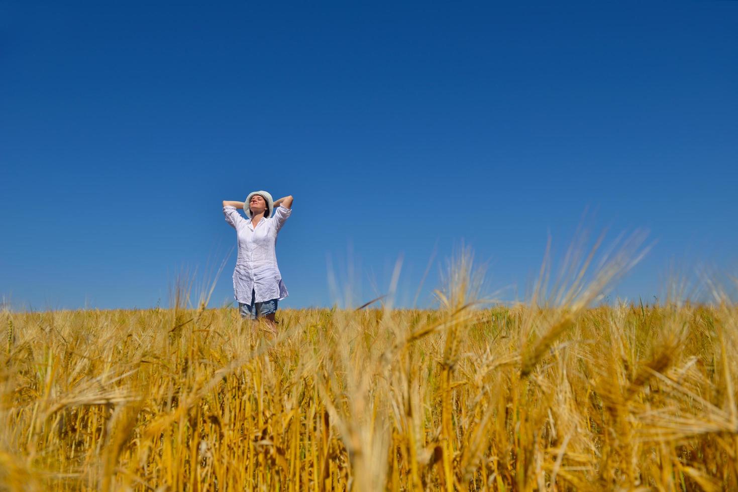 giovane donna nel campo di grano in estate foto