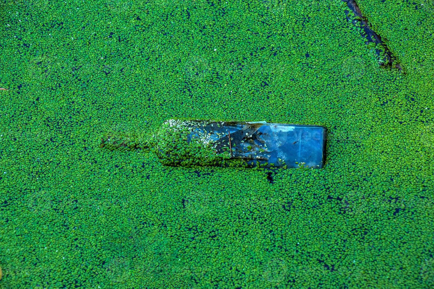 lemna e plastica, lattina, gomma da cancellare spazzatura nel il fiume. il concetto di il ecologico problema di ambientale inquinamento. foto