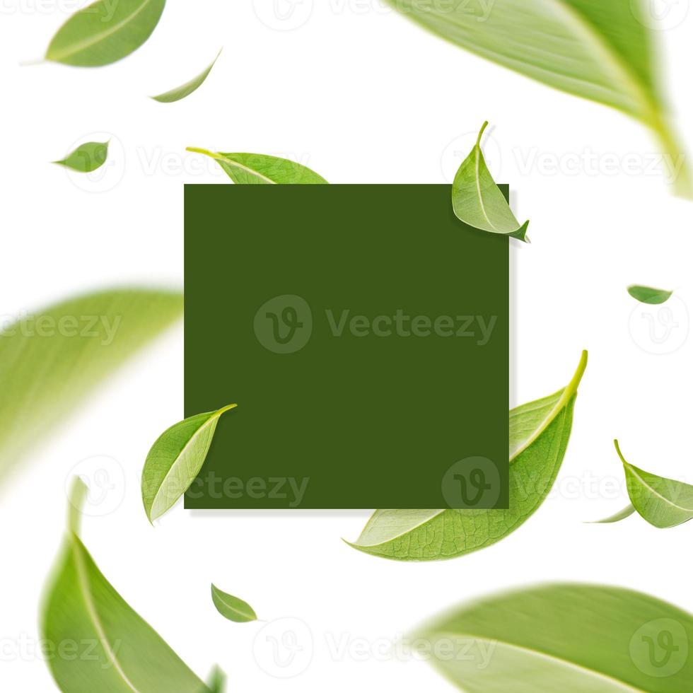 creativo moderno carta design di volante vortice verde le foglie nel il aria con carta carta, natura concetto di tè foglia, piatto posare foto