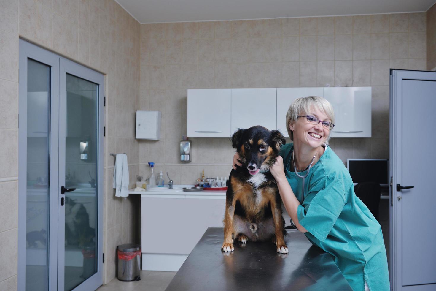 veterinario e assistente in una piccola clinica per animali foto