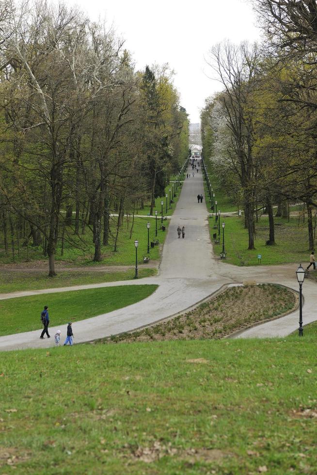 giorno nel il parco foto