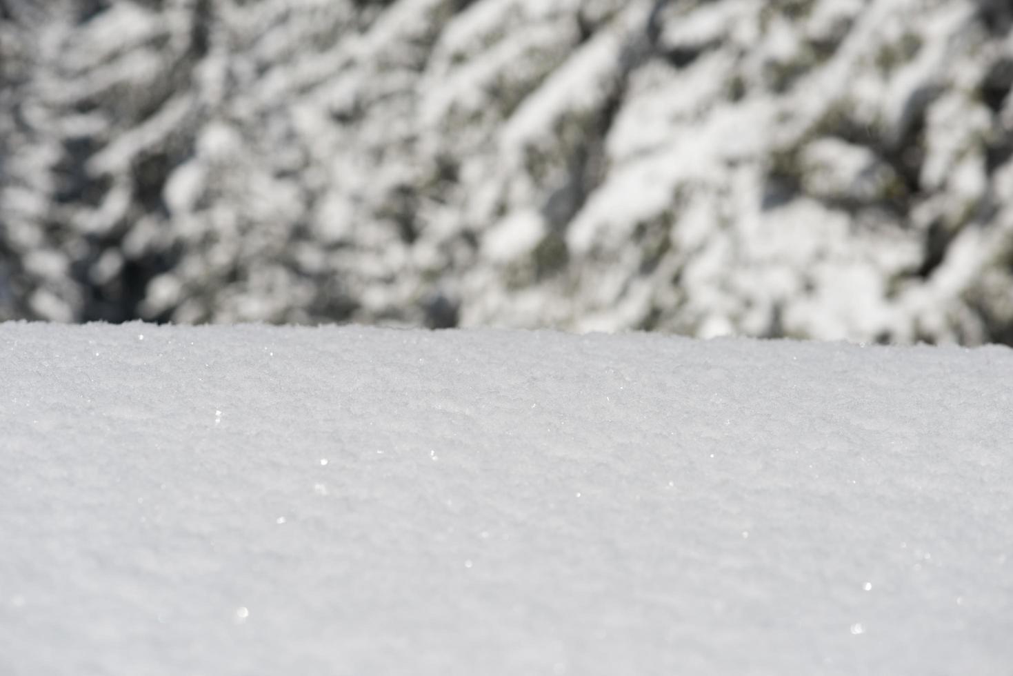 sfondo di neve invernale foto