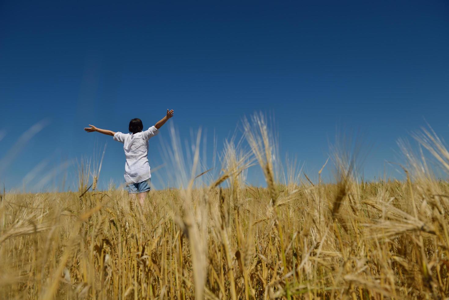 giovane donna nel campo di grano in estate foto