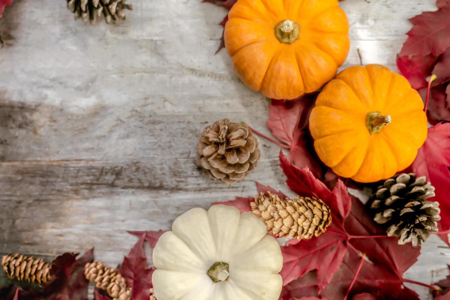 arredamento festivo autunnale da zucche, pini e foglie su uno sfondo di legno. concetto di giorno del ringraziamento o halloween. composizione autunnale piatta con spazio di copia. foto