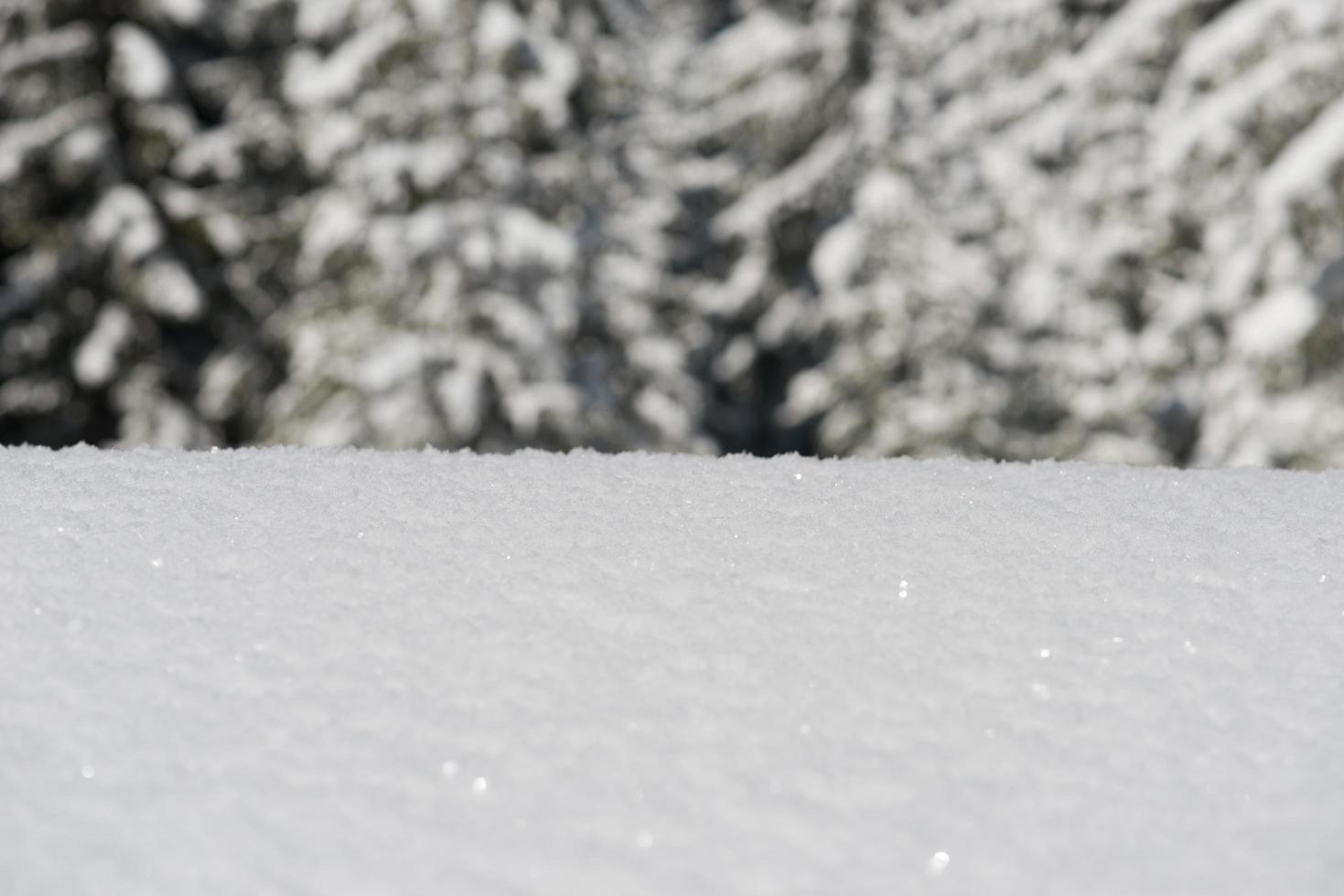 sfondo di neve invernale foto