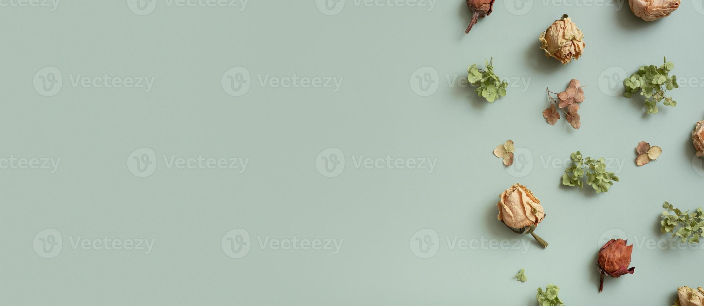 bandiera con autunno modello piatto posare con a partire dal secco ortensia fiori, Rose e petali su pastello verde colorato sfondo. superiore Visualizza, copia spazio foto