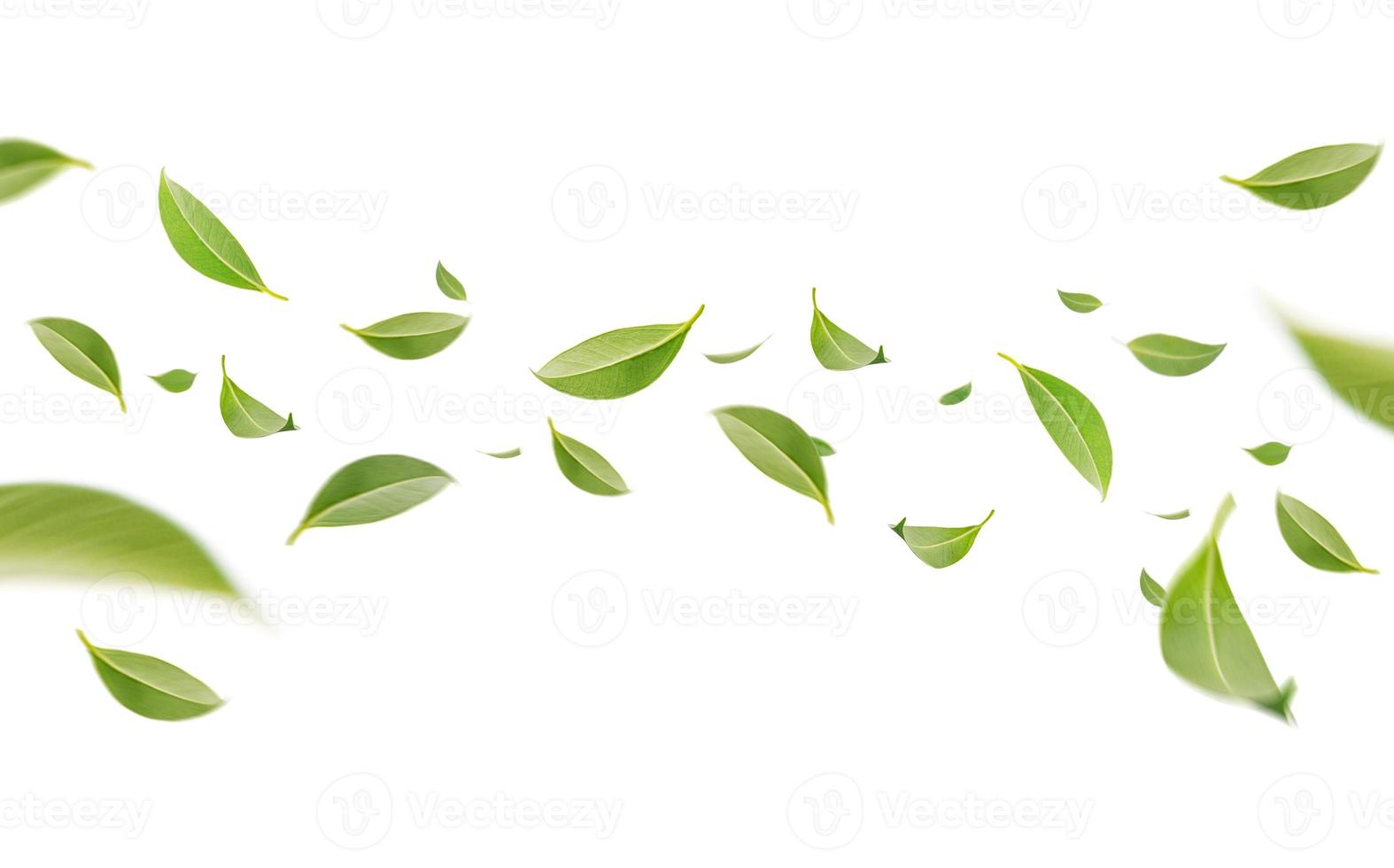 volante vortice verde le foglie nel il aria, salutare prodotti di biologico naturale ingredienti concetto, vuoto spazio nel studio tiro isolato su bianca sfondo lungo bandiera foto
