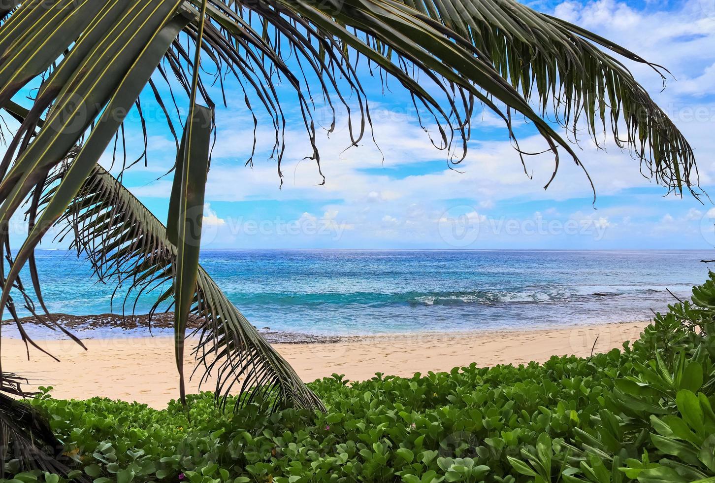 soleggiato giorno spiaggia Visualizza su il Paradiso isole Seychelles foto