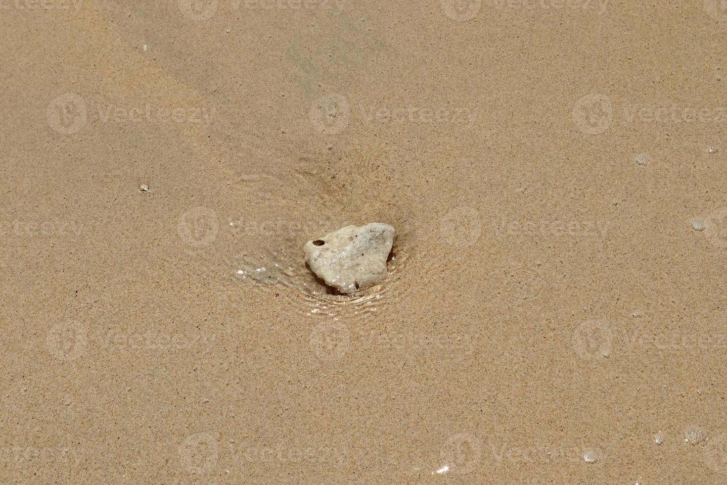 bellissimo scatti di il bianca spiaggia sabbia su il Seychelles Paradiso isola con impronte foto