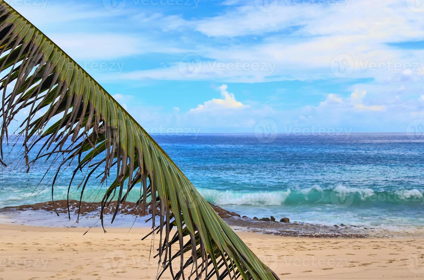soleggiato giorno spiaggia Visualizza su il Paradiso isole Seychelles foto