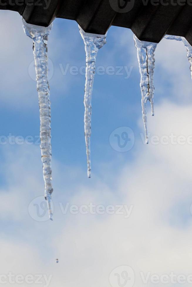 ghiaccioli sospeso su tetto a inverno. naturale ghiaccio formazione di ghiaccio cristalli sospeso su tetto bordo a inverno foto