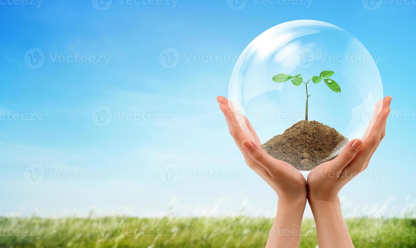 cristallo bicchiere palla con verde pianta nel mani su naturale sfondo, copia spazio per il tuo disegno, Salva terra ambiente ecologia concetto foto