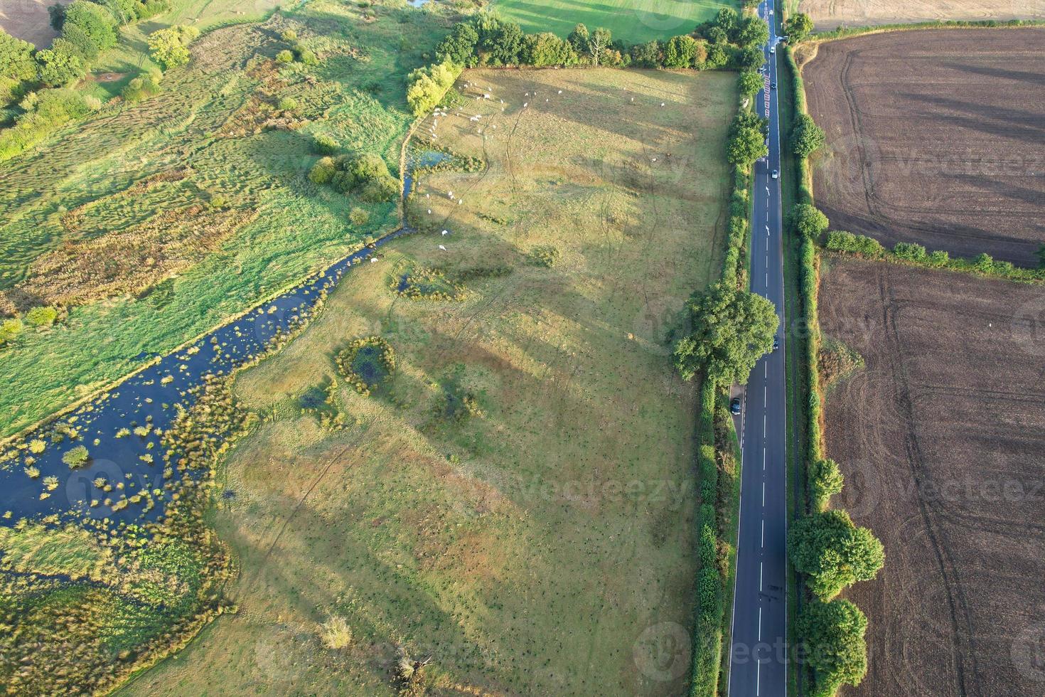 alto angolo Visualizza di mucche pascolo su campo contro cielo. bellissima alto angolo aereo Visualizza di animale azienda agricola a Britannico agricolo campo vicino Londra Inghilterra grande Gran Bretagna di UK foto