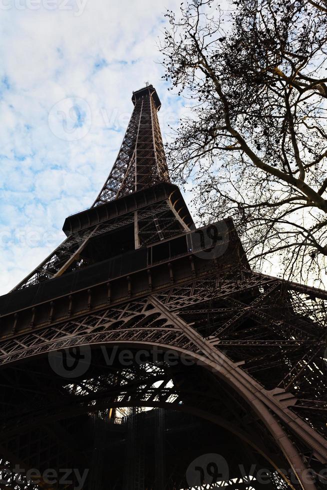 eiffel Torre e albero rami nel Parigi foto