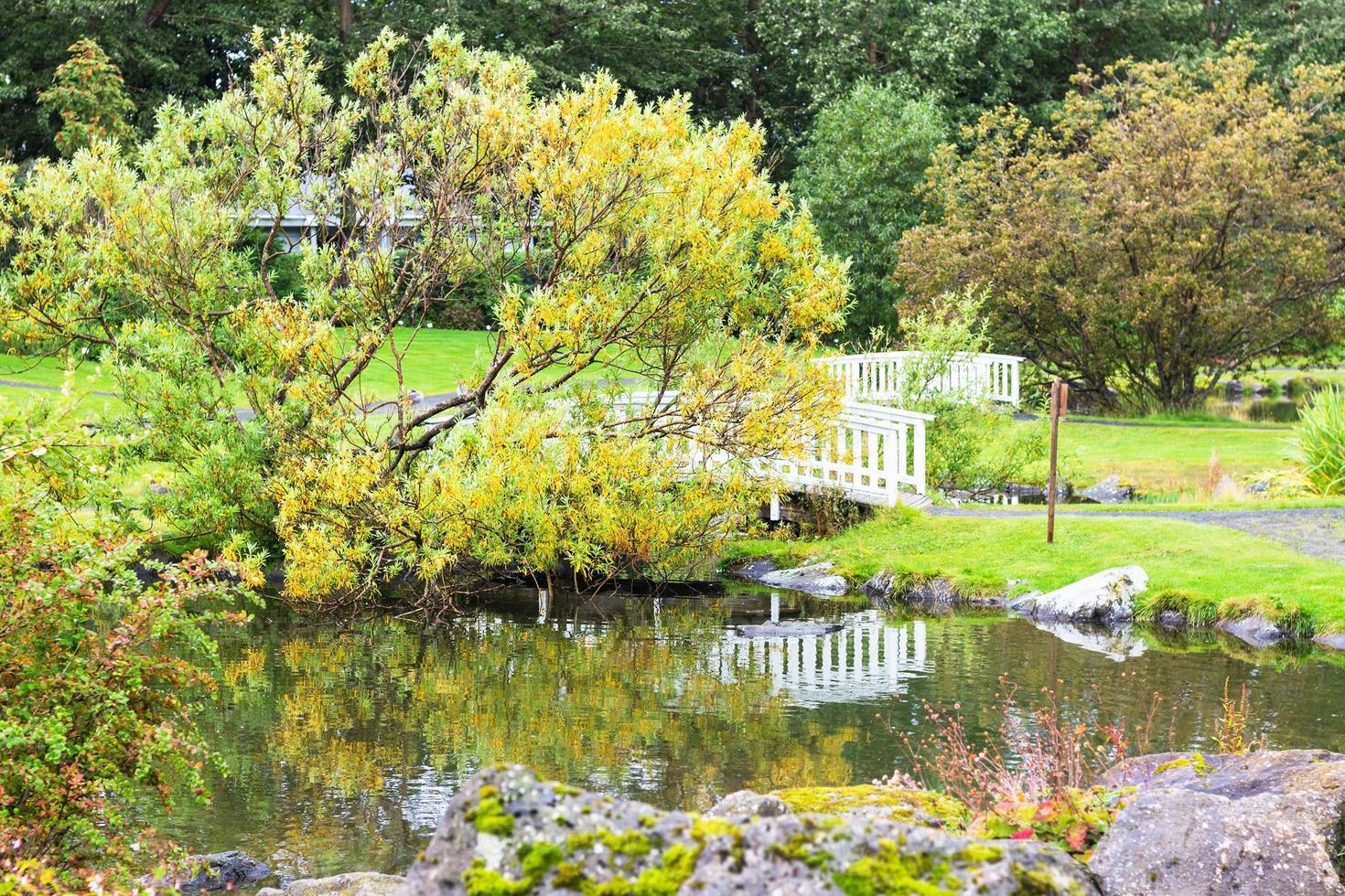 pubblico parco nel laugardalur valle di Reykjavik foto