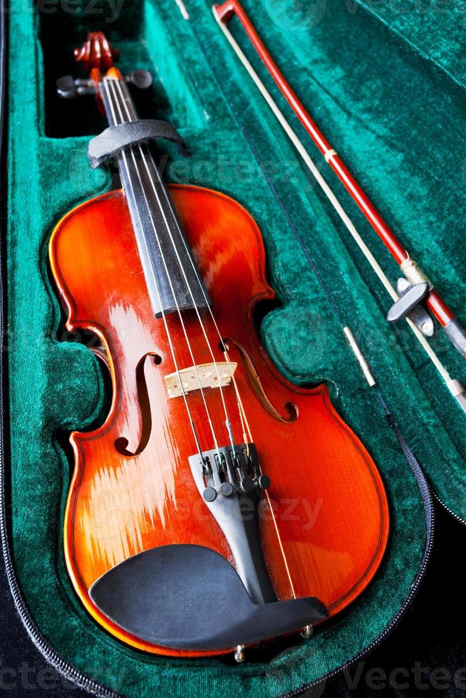 violino con arco nel verde velluto Astuccio foto
