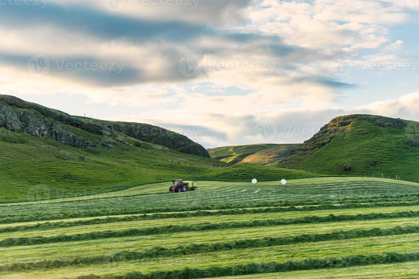 contadino guida trattore raccolta erba nel terreni agricoli su estate foto