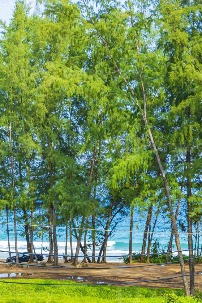 nai thon naithon spiaggia vista dietro gli alberi phuket thailandia. foto