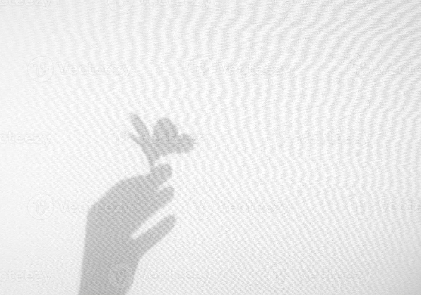 realistico mano Tenere biologico fiore naturale ombra copertura effetto su bianca struttura sfondo, per copertura su Prodotto presentazione, fondale e modello foto