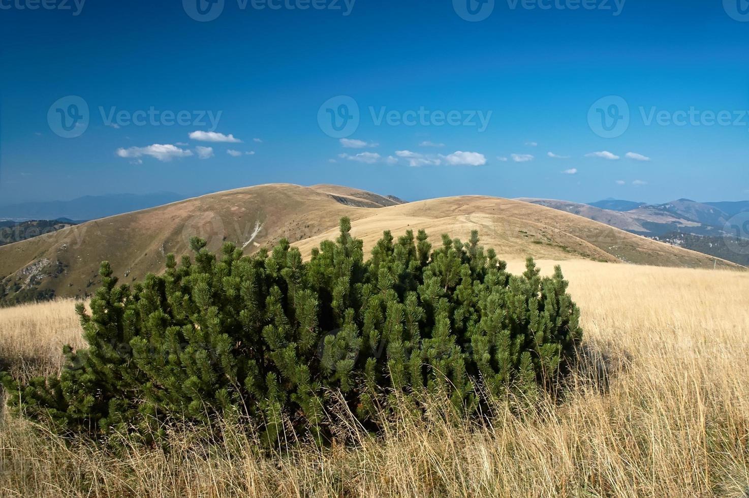 montagne della slovacchia foto