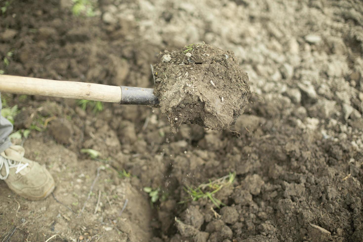 tipo è scavando terra. uomo con pala. dettagli di rurale vita. scavando su suolo. foto