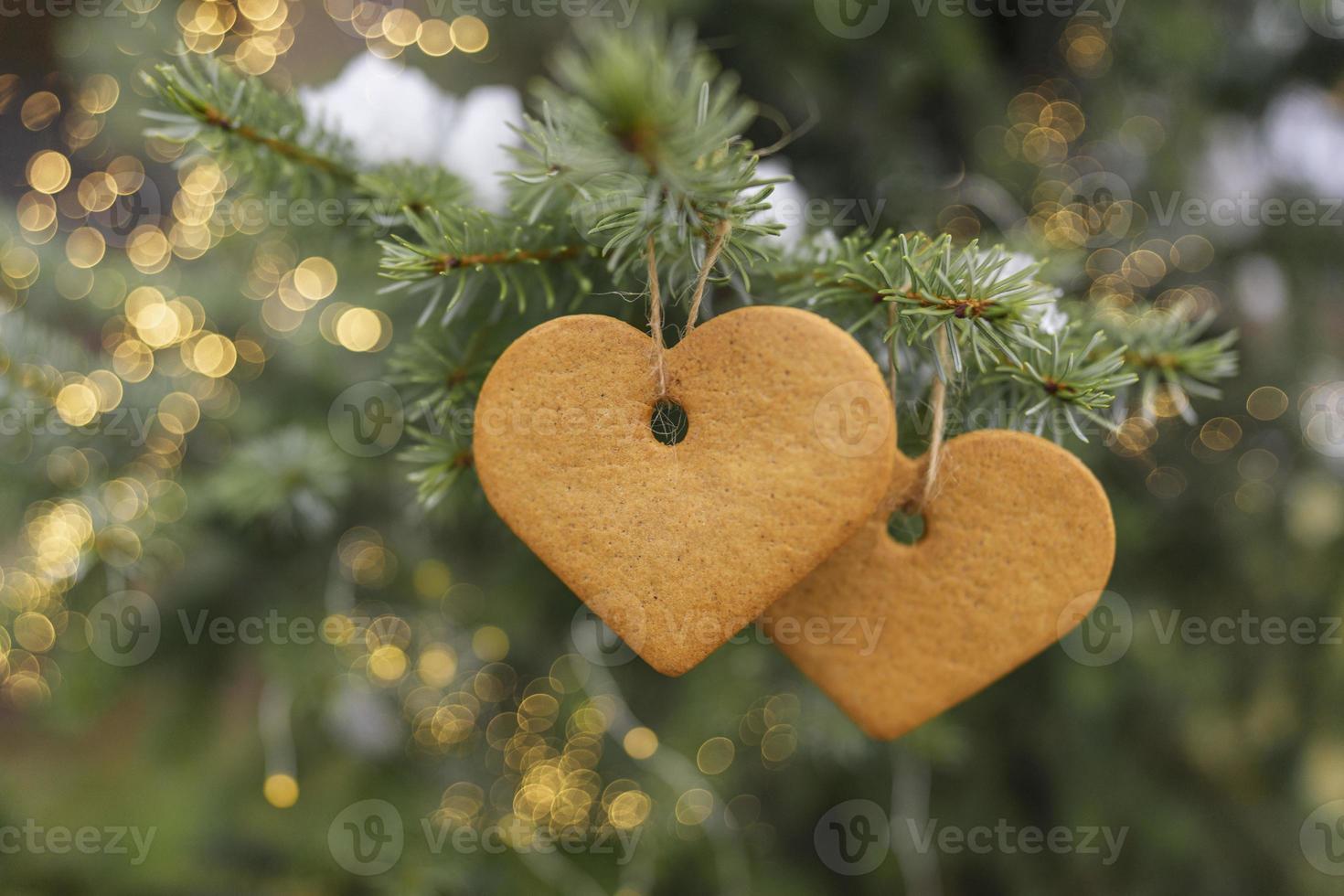 Due Pan di zenzero biscotti nel il modulo di il cuore appendere su il albero con bokeh luci. San Valentino giorno simbolo foto